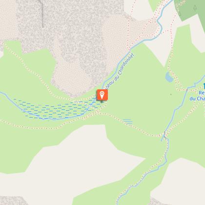 la  Linaigrette de Scheuchzer