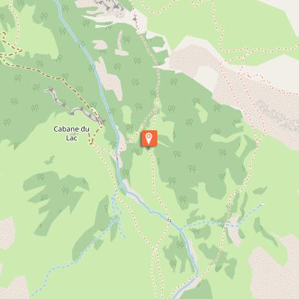 La Pulsatille en fruits