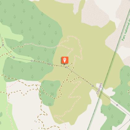 Damier de la Succise