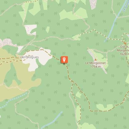 Zygène de la bugrane