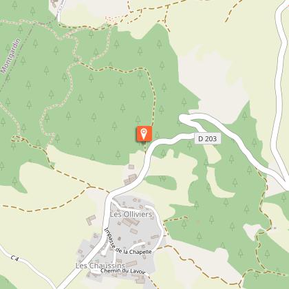 Chocard à bec jaune