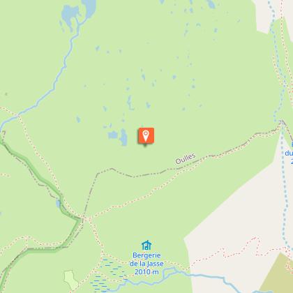 Chamois and rock ptarmigan