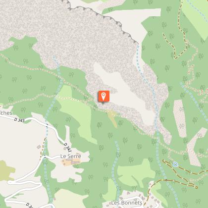 Short-toed snake eagle