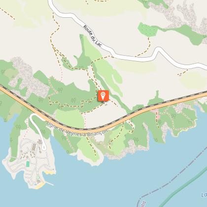 The Occellated Lizard