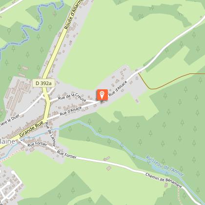 Gîte la Cremaillotte : Myrtille