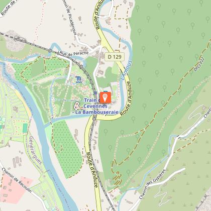 塞文山脉的竹林