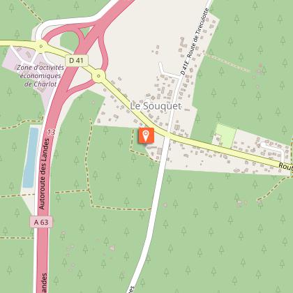 Le domaine des Landes - Les pins