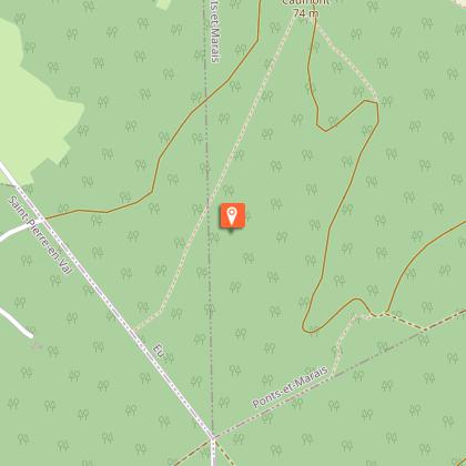 Les insolites de la forêt d'Eu