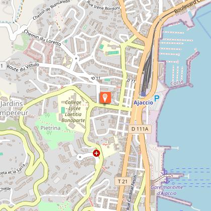 GIORGIAGGI SYLVESTRE