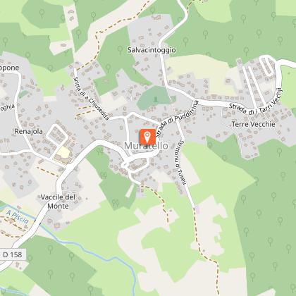 PARIS SERGE ET SOPHIE