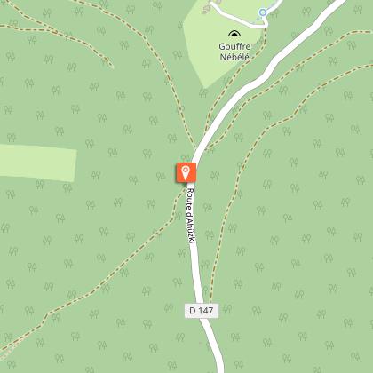 Forêt des Arbailles