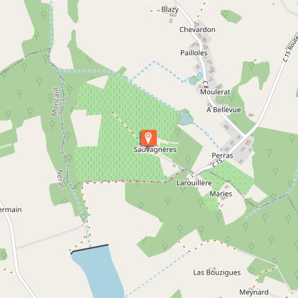 Château Sauvagnères