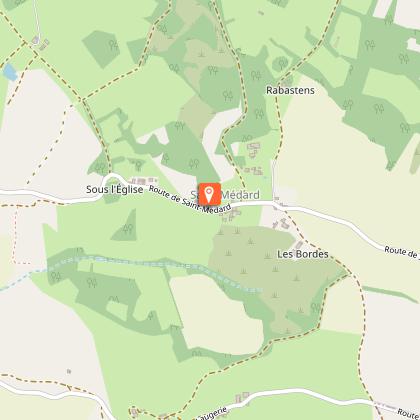 Une abeille à l’orée du bois