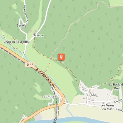 Gisement de La Micoque