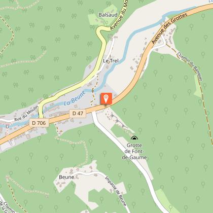 Grotte de Font-de-Gaume