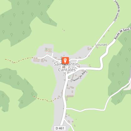 The Sully's linden tree - Remarkable Auvergne tree