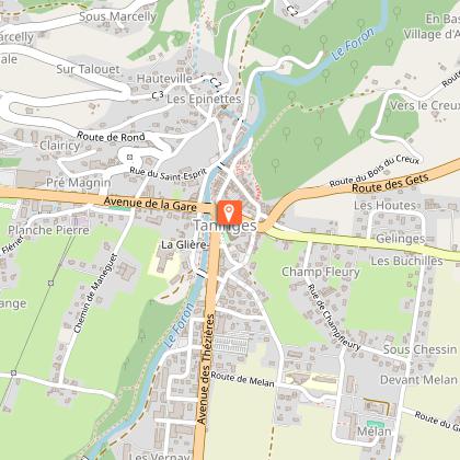 Peal of bells at Taninges and harmonium museum