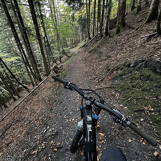 Hospice de France (5)