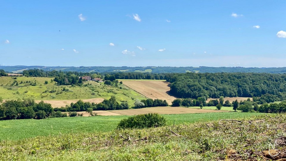 Le chemin de la Chapelle Saint-Jaymes à Saint- ...