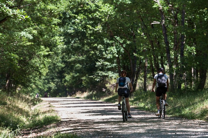 PARCOURS VTT LOISIRS FORÊT DE BUZET
