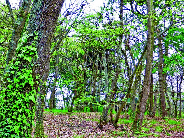 Bois et landes d'Urdès