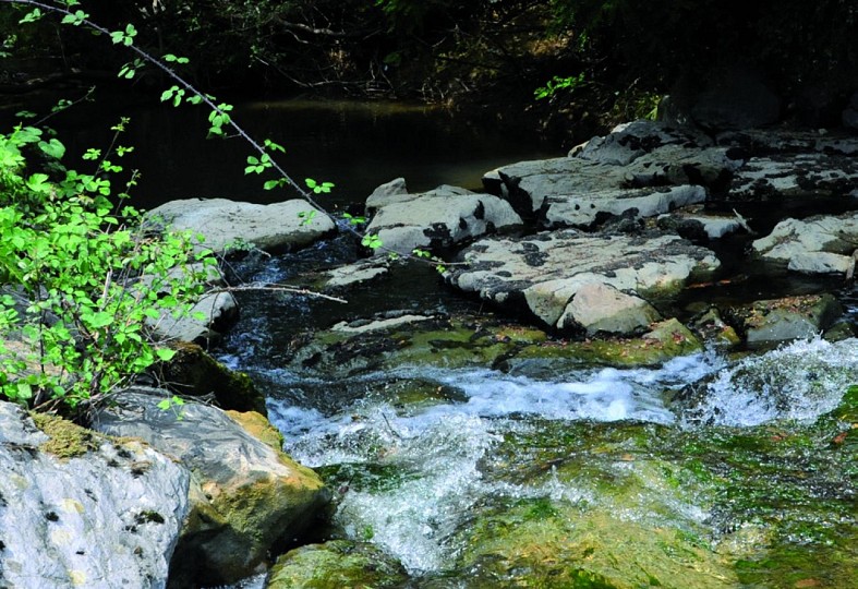 Du Luzoué au Castérot