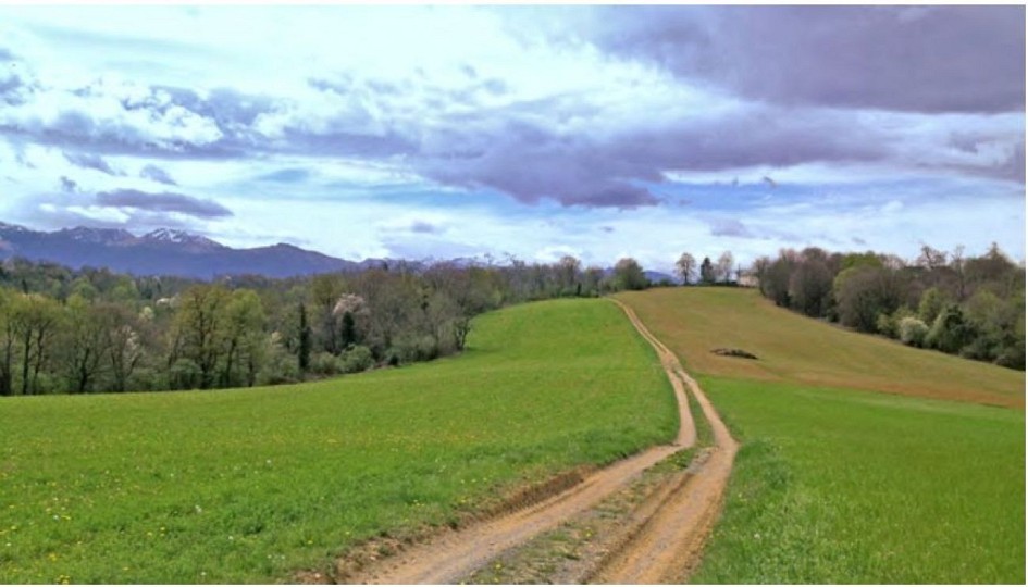Entre Bois et Panorama