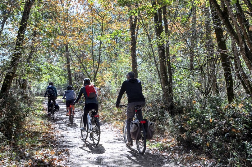 CIRCUIT N°5 - VTT EN FORÊT DE BOUCONNE