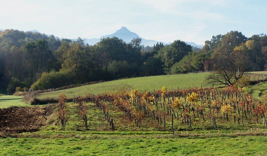 Le circuit de Lapassade