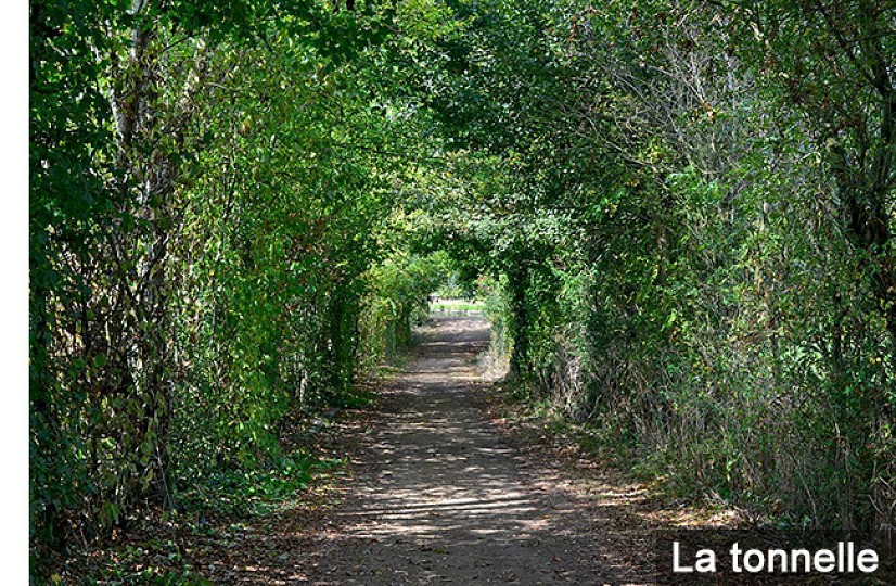 Le Boupère : Le Château