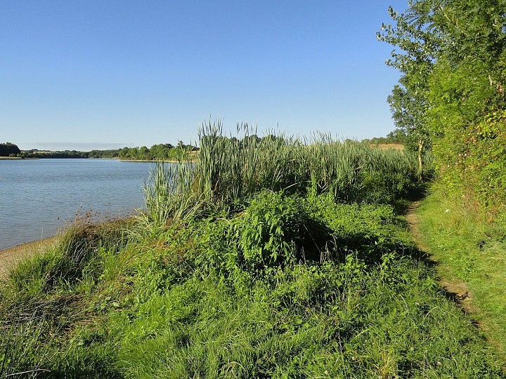 Tallud-Sainte-Gemme : Le Lac de Rochereau