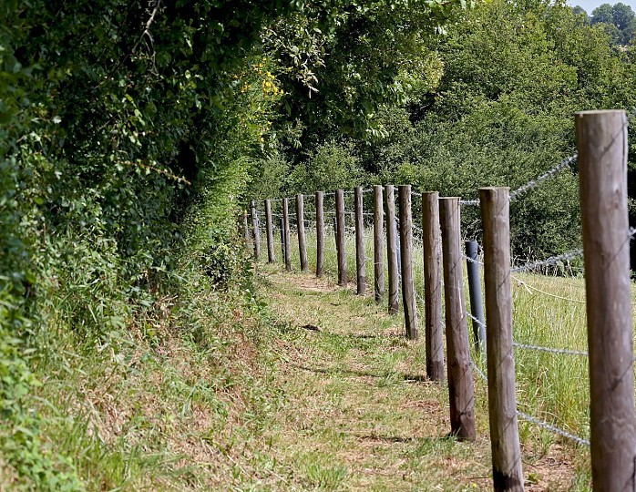 Sèvremont (Saint-Michel-Mont-Mercure) : Les Mo ...