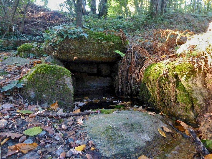 Saint-Mesmin : Le Bois de l'Audraire