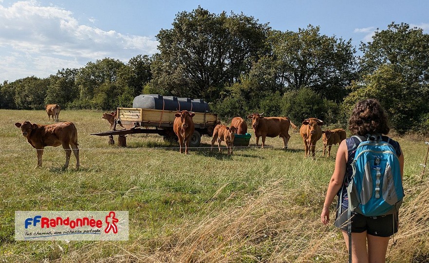 Etape Peyrusse le Roc - Salles-Courbatiès GR®6 ...