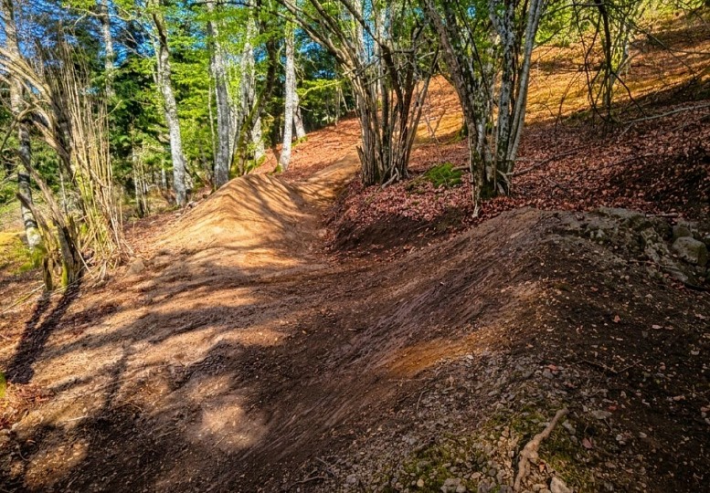 PC - WOOD'S LINES