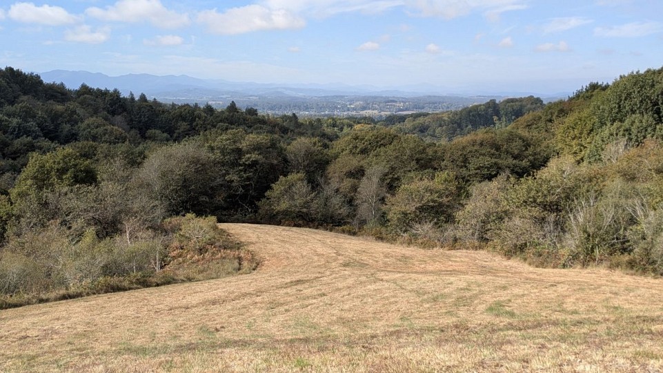Le circuit du Brané