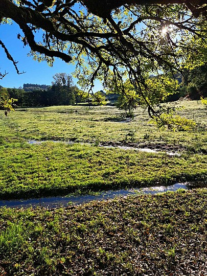 Sentier d'interprétation