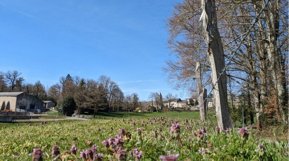 Circuit VTT n °20