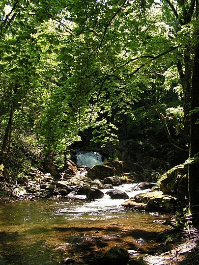 N°9 Le Ruisseau de Candesoubre