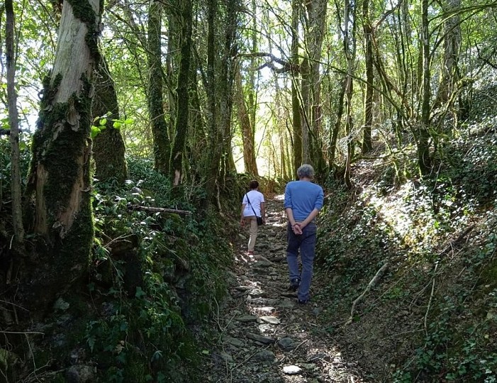 Sentier du chemin de pierre de Sénégats