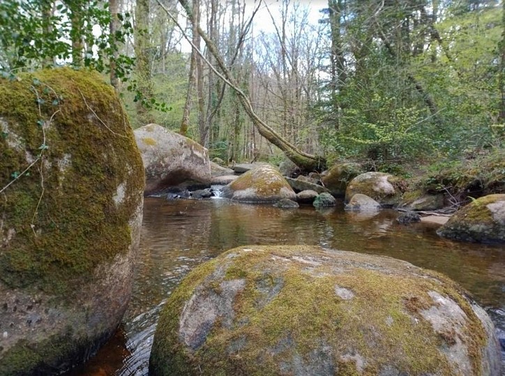 Sentier rivière de rochers