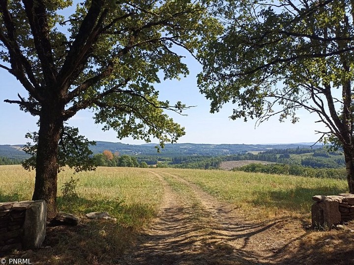 Le Puy du Mas