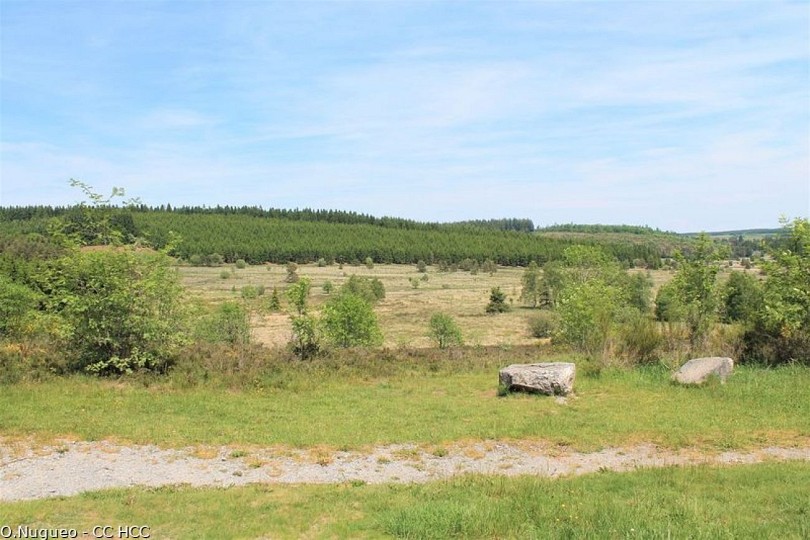 Heather Trail