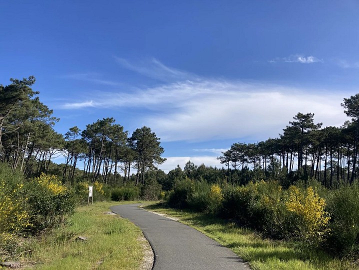 Pointe du Cap Ferret au départ de Claouey