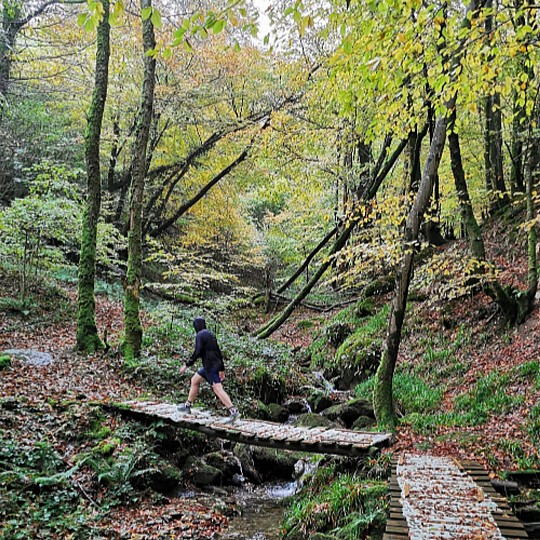 Trail : Du sentier de Wibault au Roc de Peyremaux
