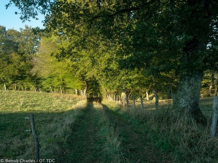 Circuit VTT n°5 : Entre Vézère et Bradascou
