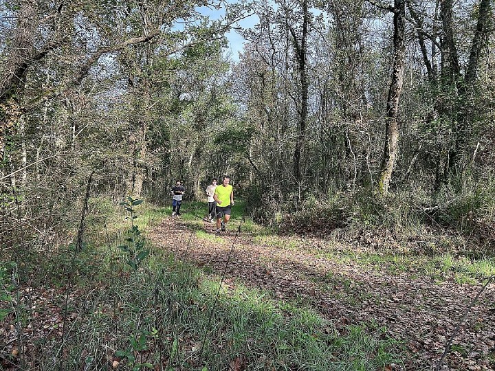 Trail de La Double "Le Chêne"