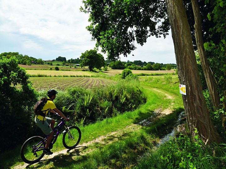 Montardon : les Marlères à VTT