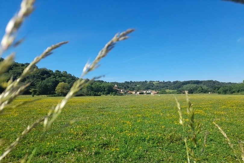 Terrebasse "Entre Louge et Mathieu"