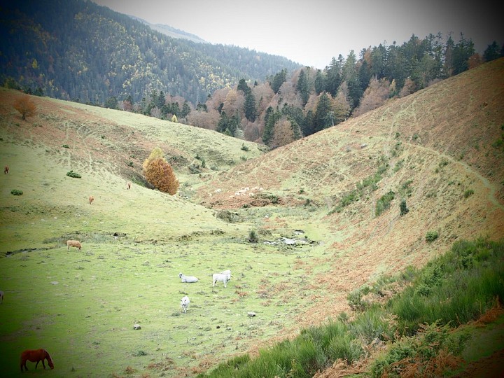 62 - LA CABANE DE SALODE